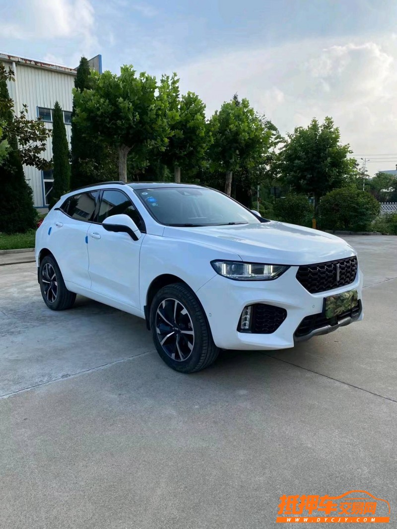 徐州19年長城汽車WEY VV52