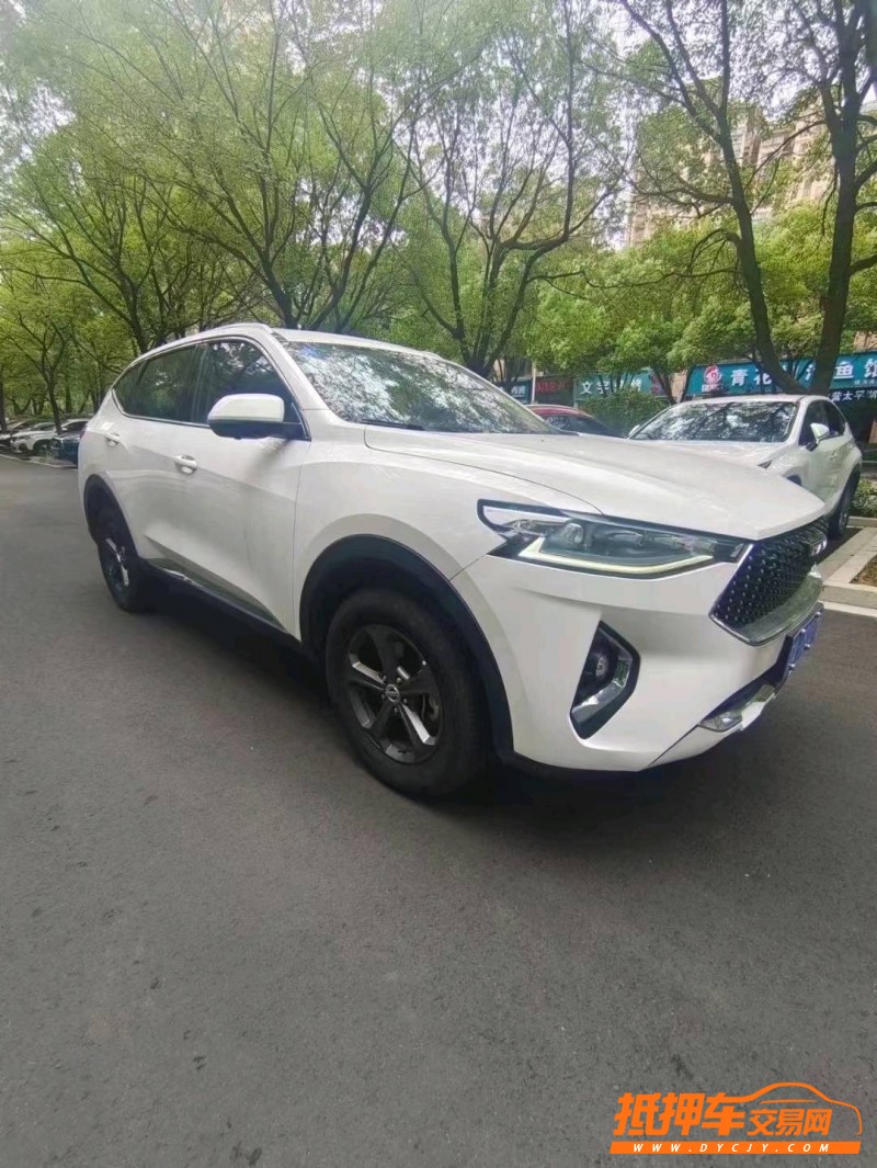 潍坊19年哈弗F72