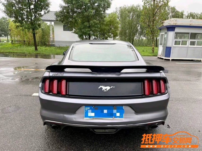 潍坊16年福特野马7