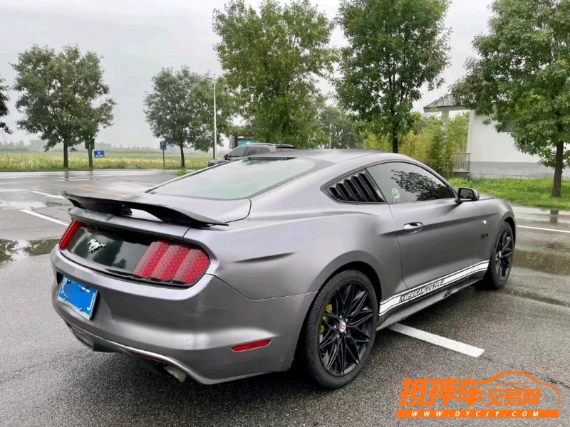 潍坊16年福特野马9