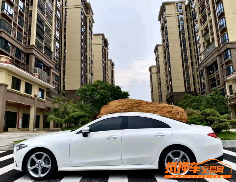 广州19年奔驰CLS4
