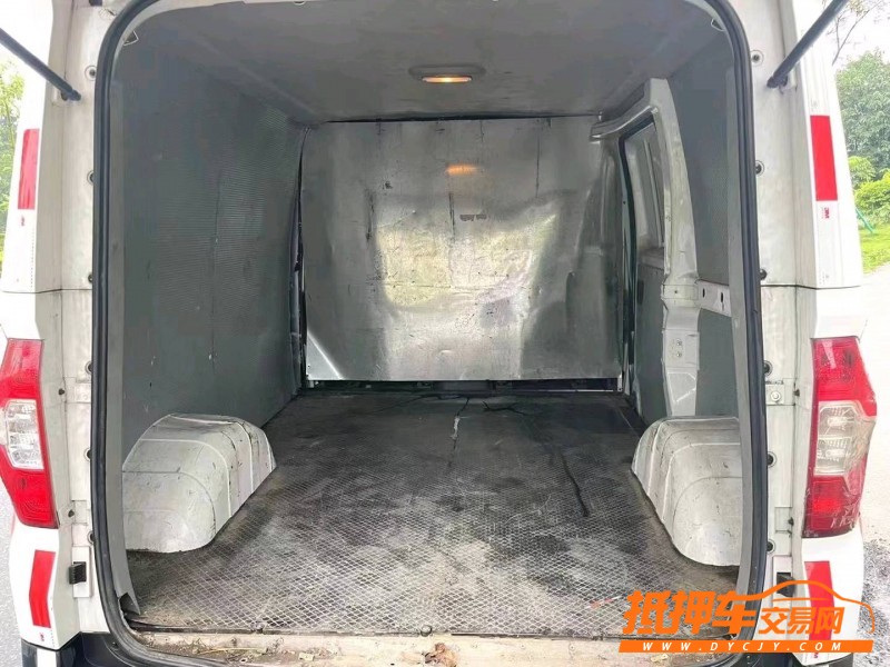 廣州19年大通EV30L9