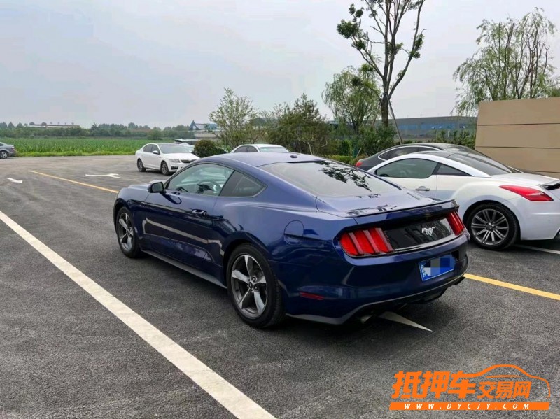 潍坊15年福特野马7