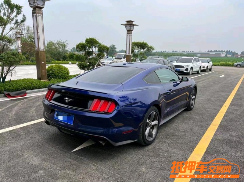 潍坊15年福特野马9