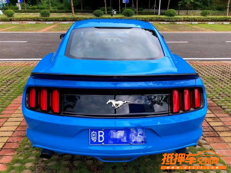 广州18年福特野马9