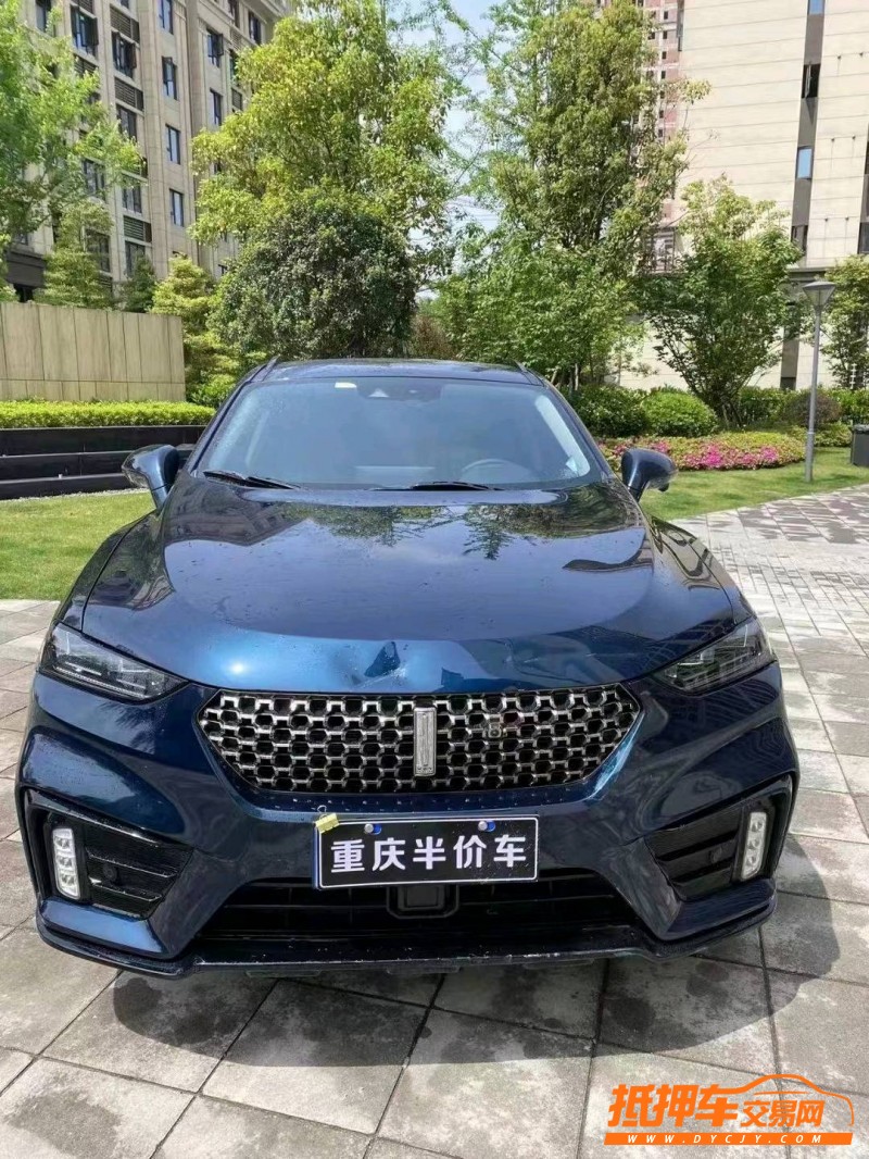 重慶20年WEYVV71