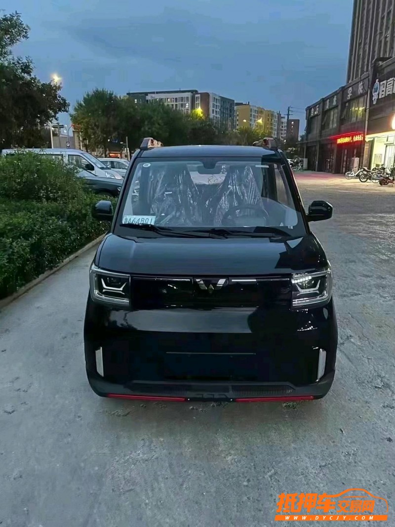 棗莊22年五菱汽車MINIEV馬卡龍1
