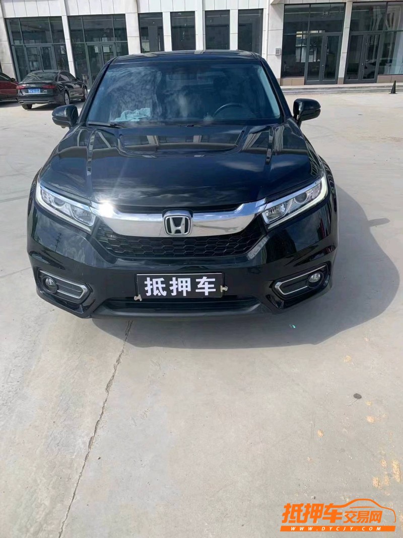 枣庄18年本田冠道9