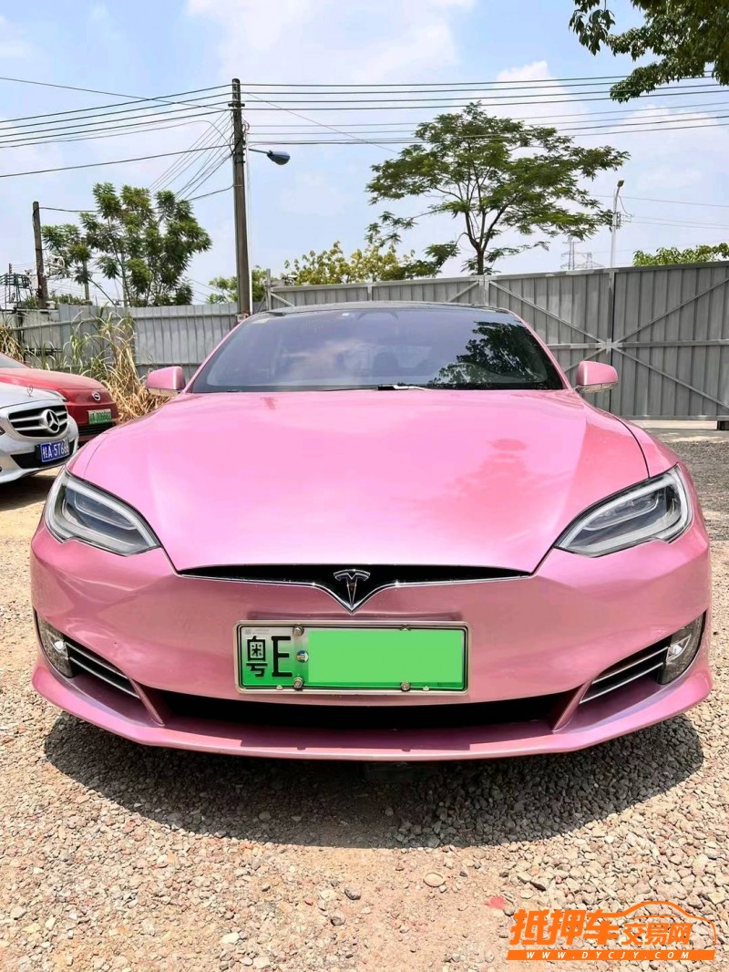 广州19年特斯拉MODEL S1