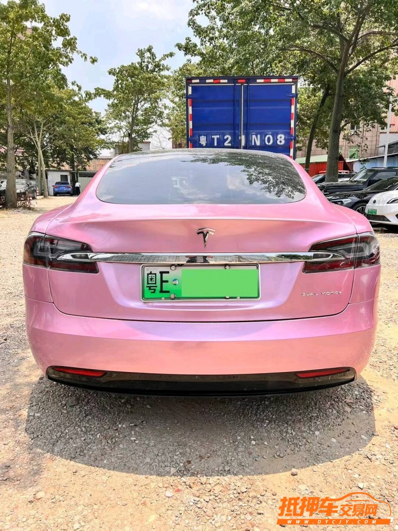 广州19年特斯拉MODEL S9