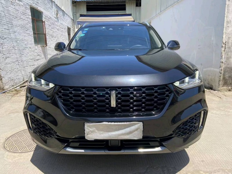 广州19年长城汽车WEY VV61