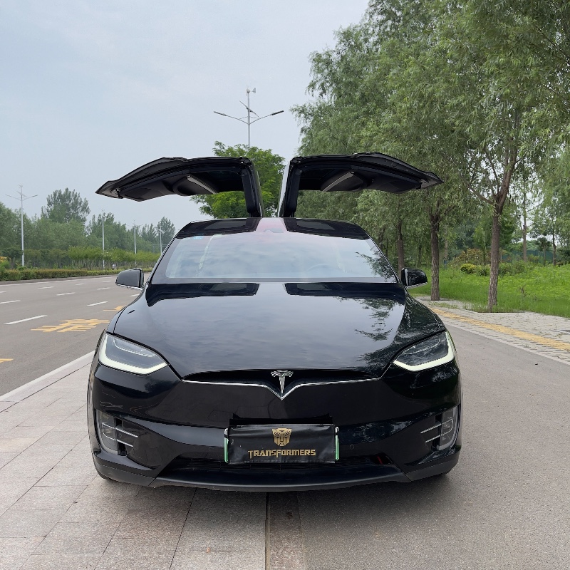 棗莊17年特斯拉MODEL X9