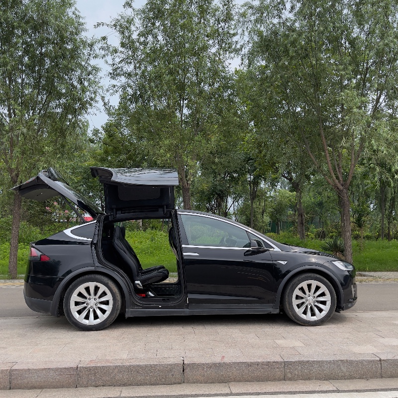棗莊17年特斯拉MODEL X6