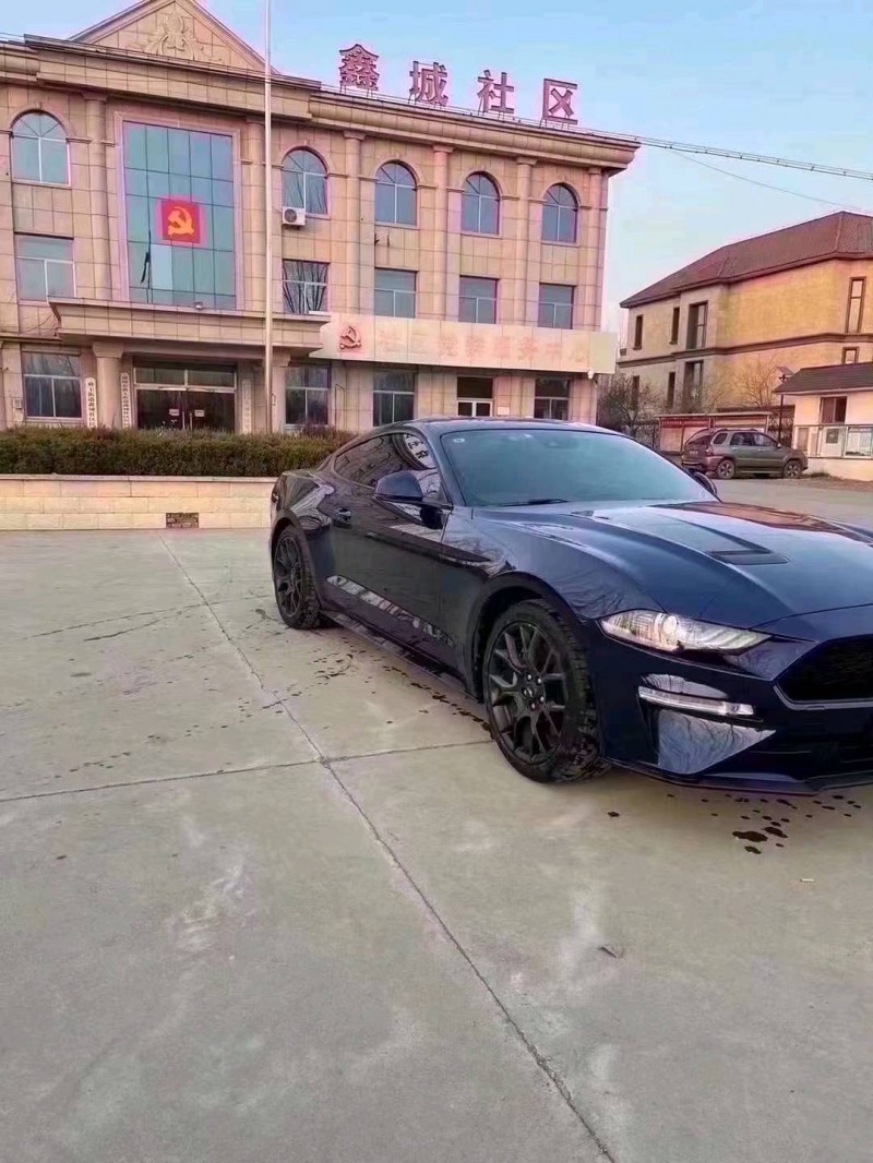 潍坊19年福特野马2