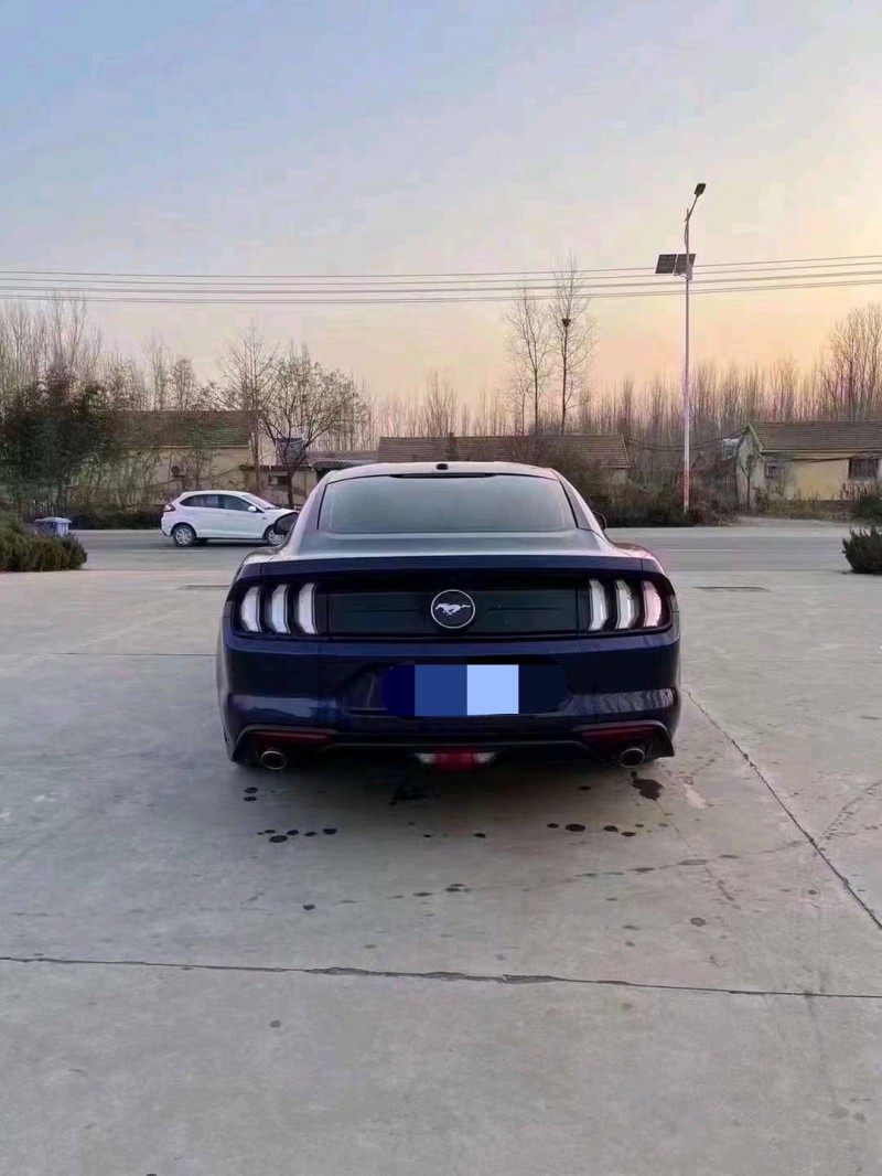 潍坊19年福特野马6