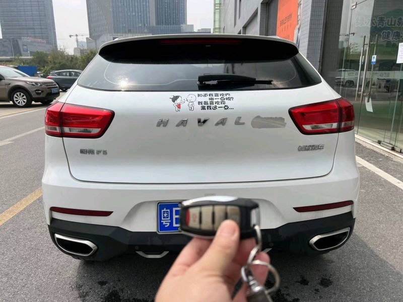 广州19年哈弗F59