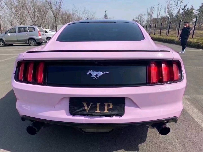 济宁18年福特野马9