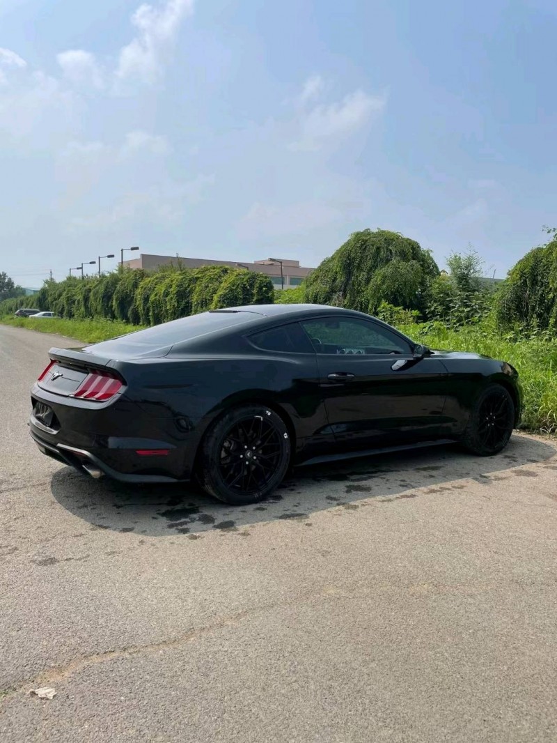 沈阳19年福特野马5