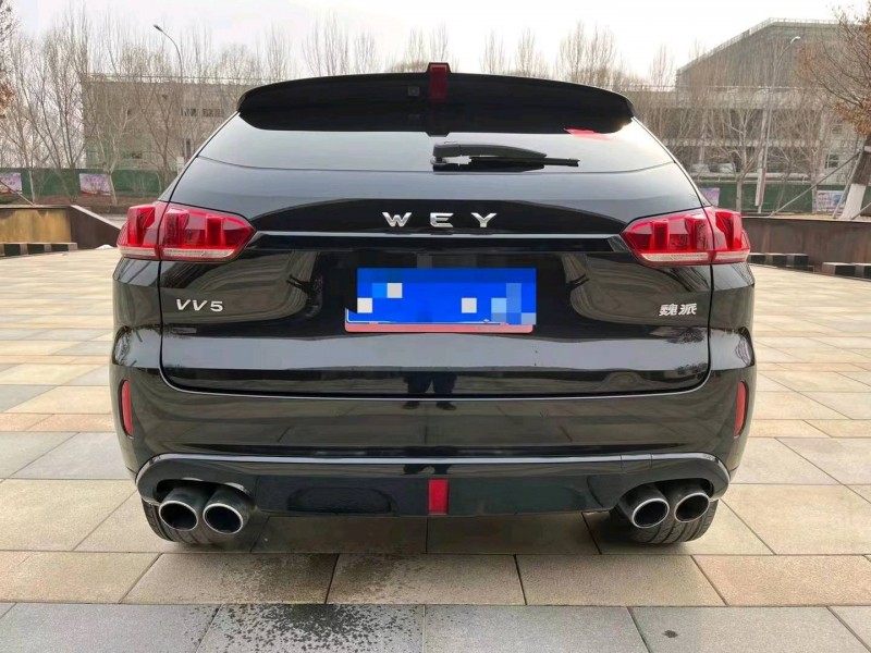 沈阳18年WEYVV58