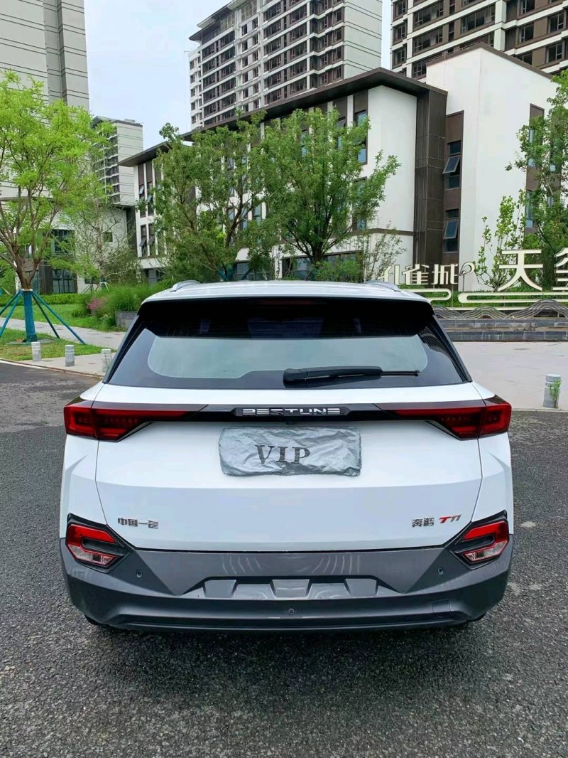 廊坊19年奔騰T779