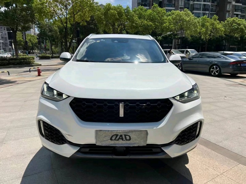 武汉19年长城汽车WEY VV61