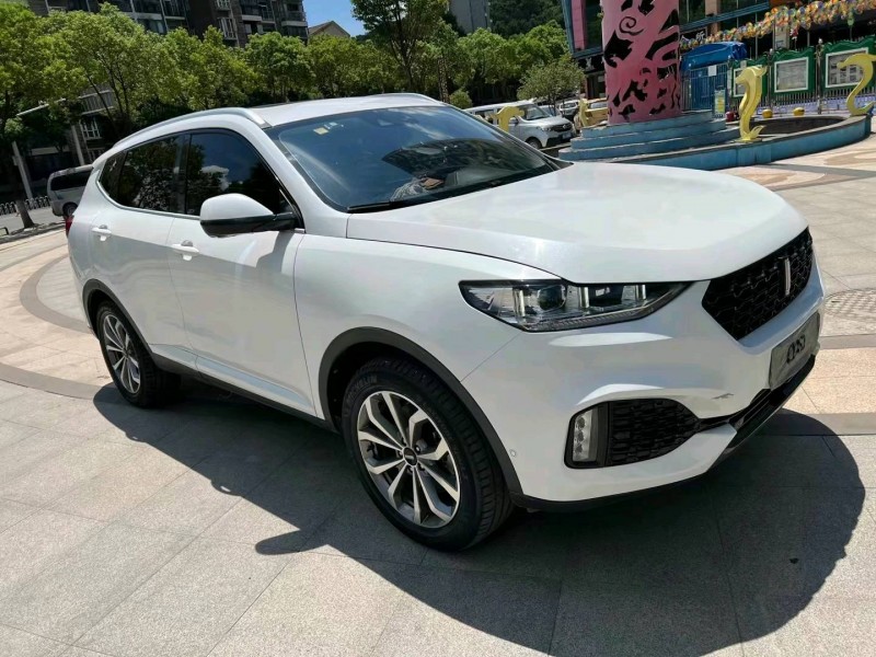 武汉19年长城汽车WEY VV63