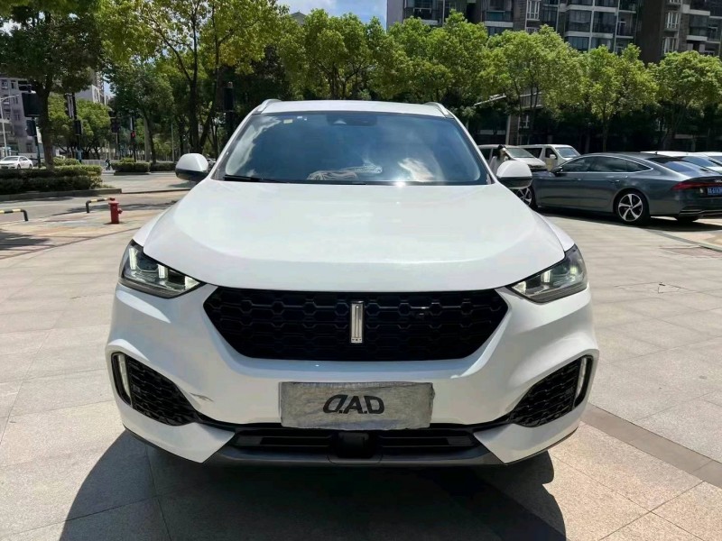 北京19年长城汽车WEY VV61