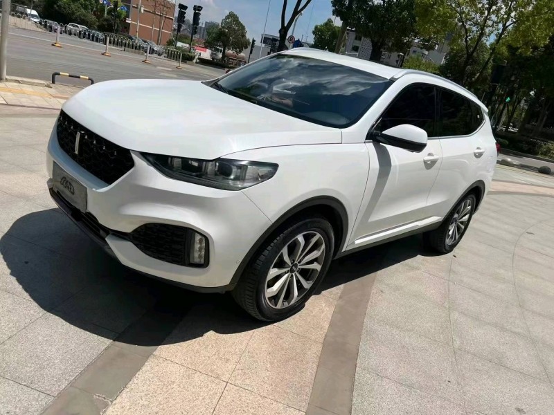 北京19年长城汽车WEY VV62