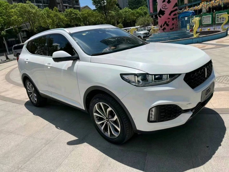 北京19年长城汽车WEY VV63