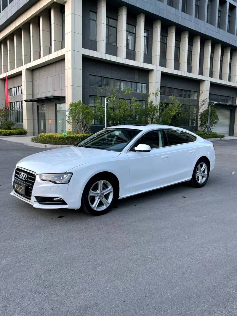 徐州14年奥迪A52
