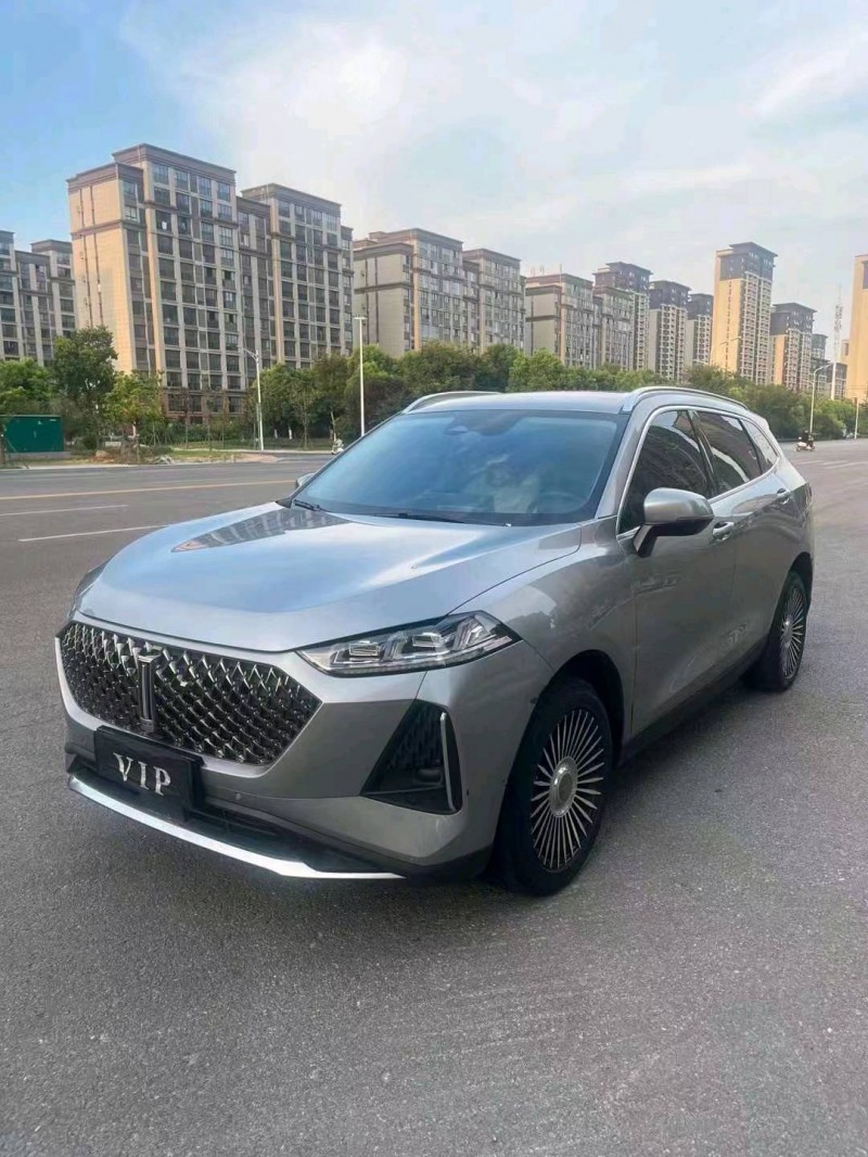 淮南21年長城汽車WEY 瑪奇朵2