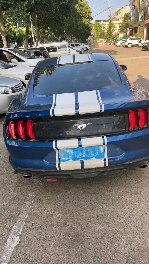 枣庄19年福特野马4