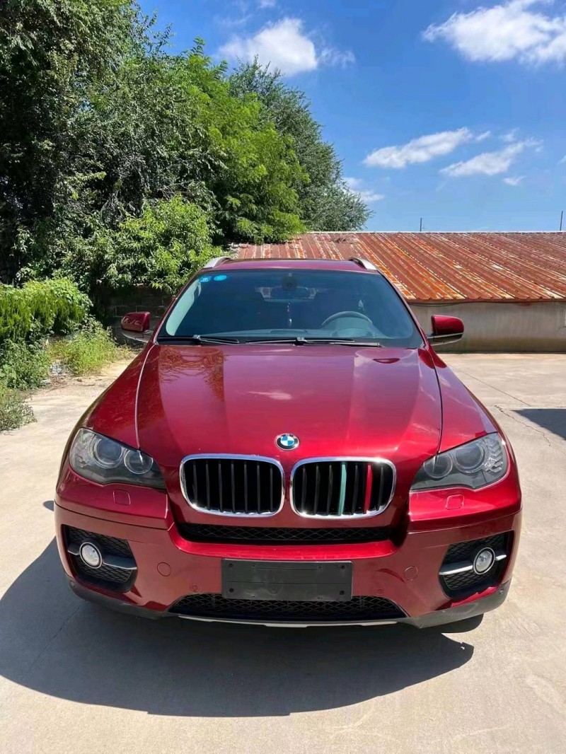东营10年宝马X61