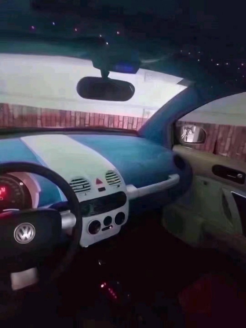 北京09年大众甲壳虫8