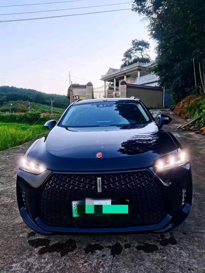邵阳19年WEYP81