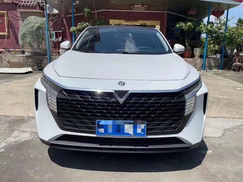 廣州22年啟辰大V6