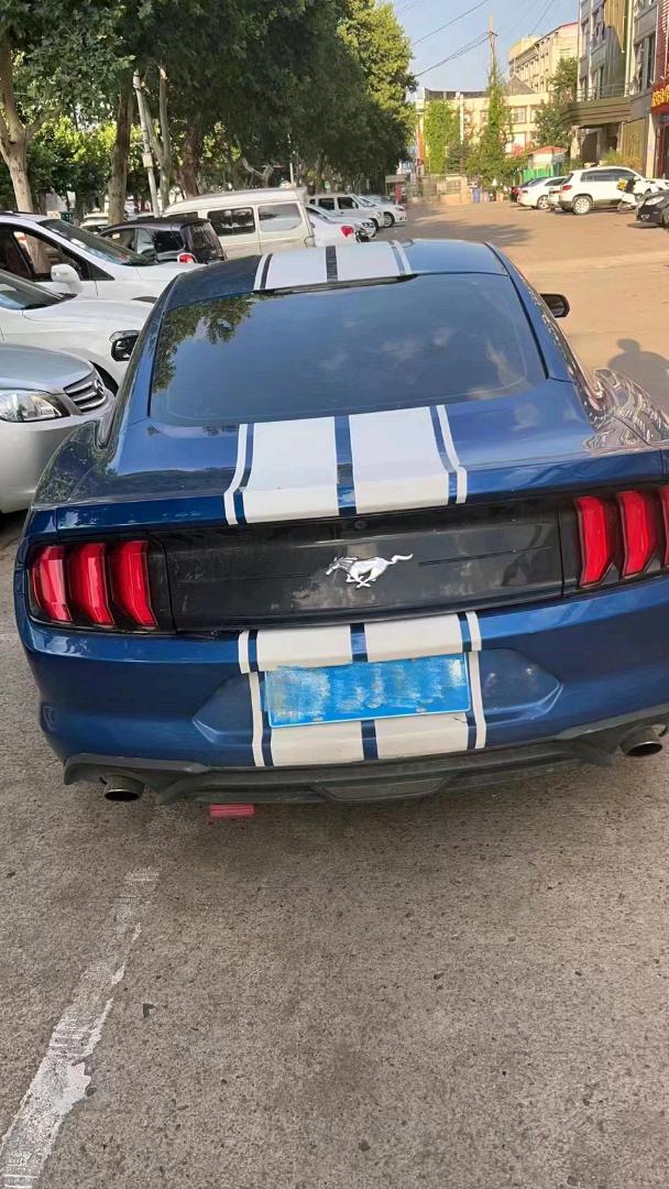 枣庄19年福特野马4