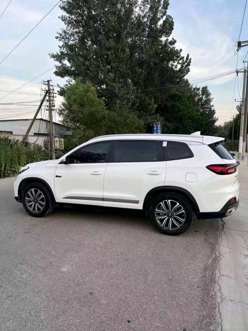 北京20年奇瑞瑞虎83