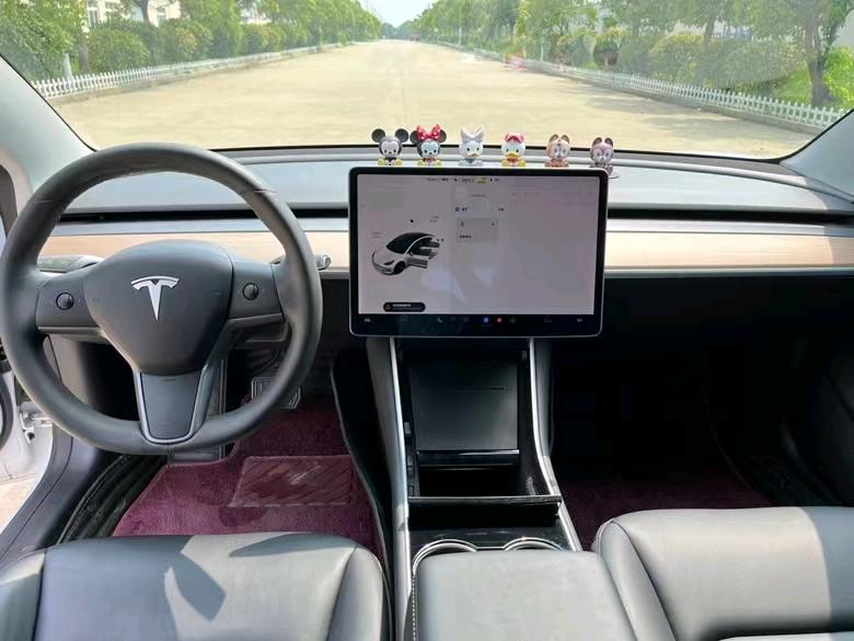 盐城20年特斯拉MODEL 36