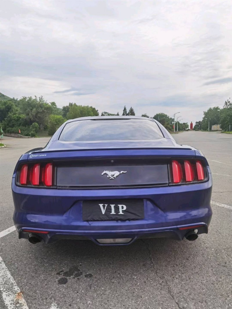 沈阳16年福特野马9