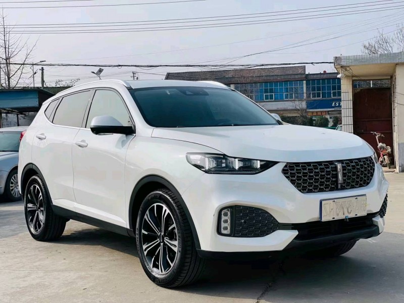 徐州19年长城汽车WEY VV62