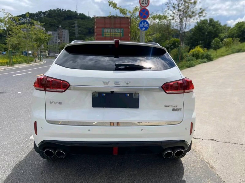 广州18年WEYVV56
