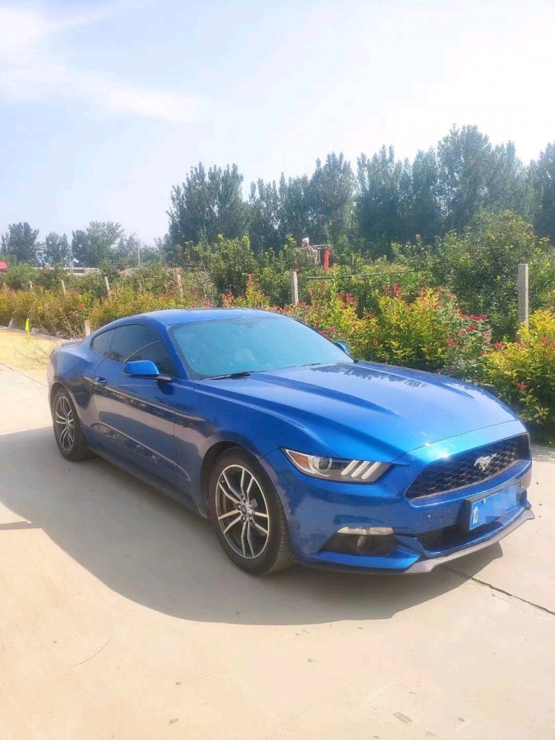 东营17年福特野马2