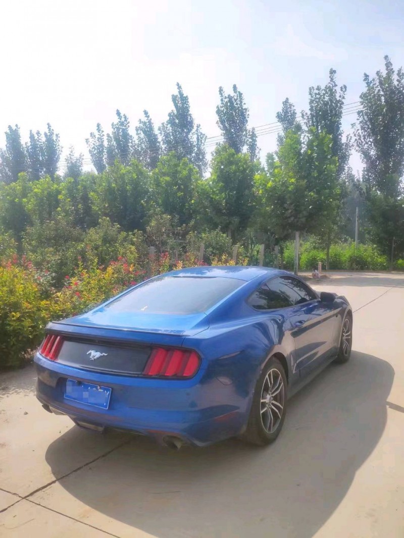 东营17年福特野马4