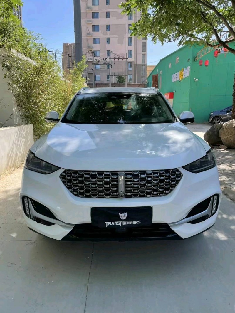 石家庄20年长城汽车WEY VV61
