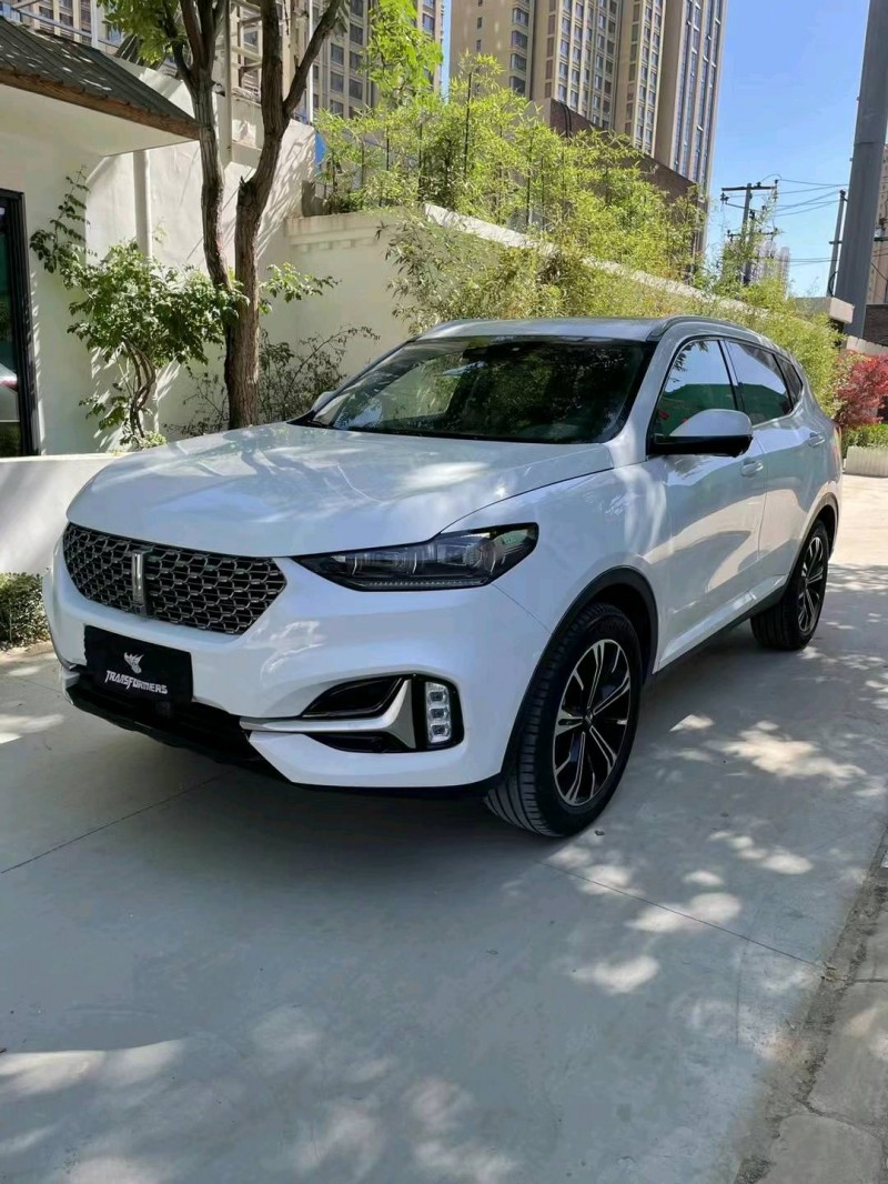 石家庄20年长城汽车WEY VV62