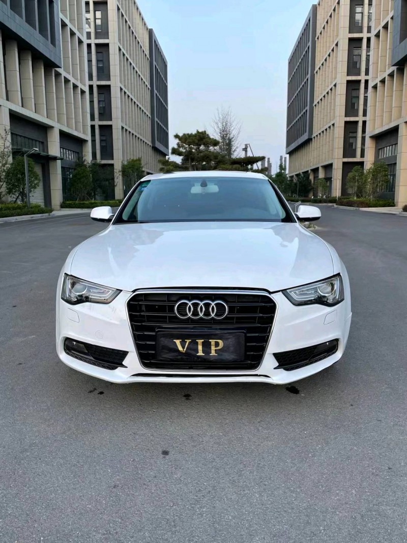 徐州14年奥迪A51