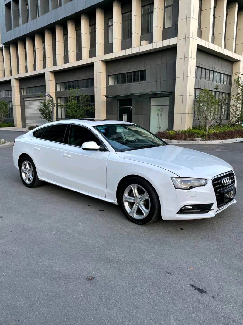 徐州14年奥迪A53