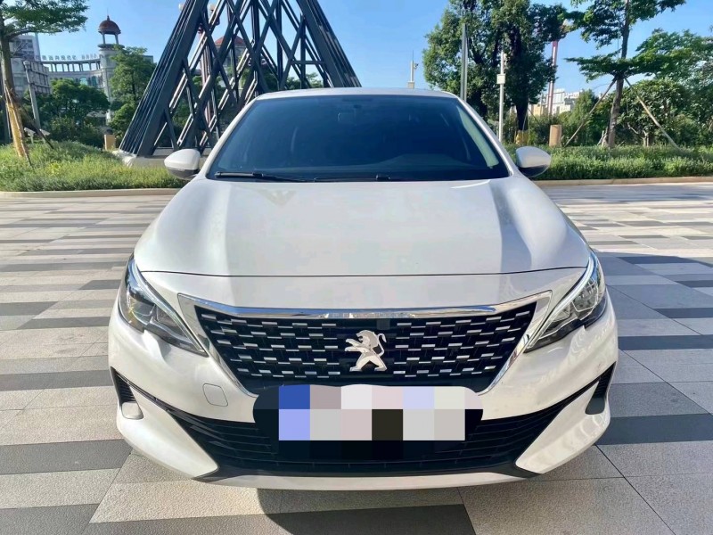 东莞21年标致4089