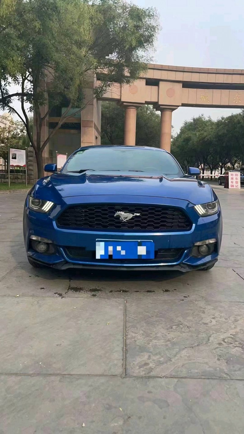 东营17年福特野马1